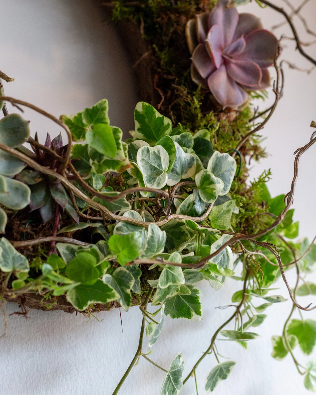 Spring Living Wreath Saturday 28th March 2026 10am - 12pm