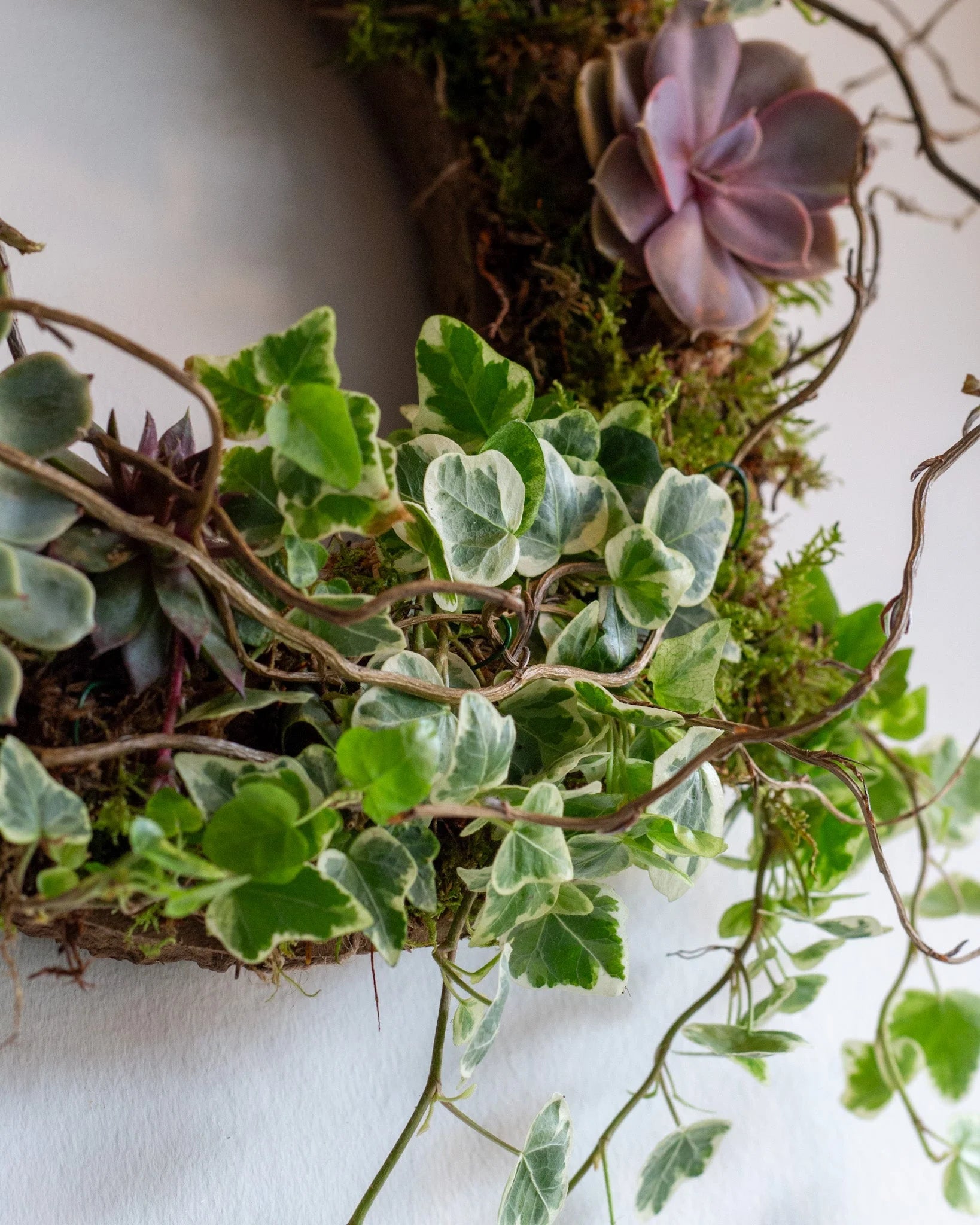 Spring Living Wreath Saturday 28th March 2026 10am - 12pm