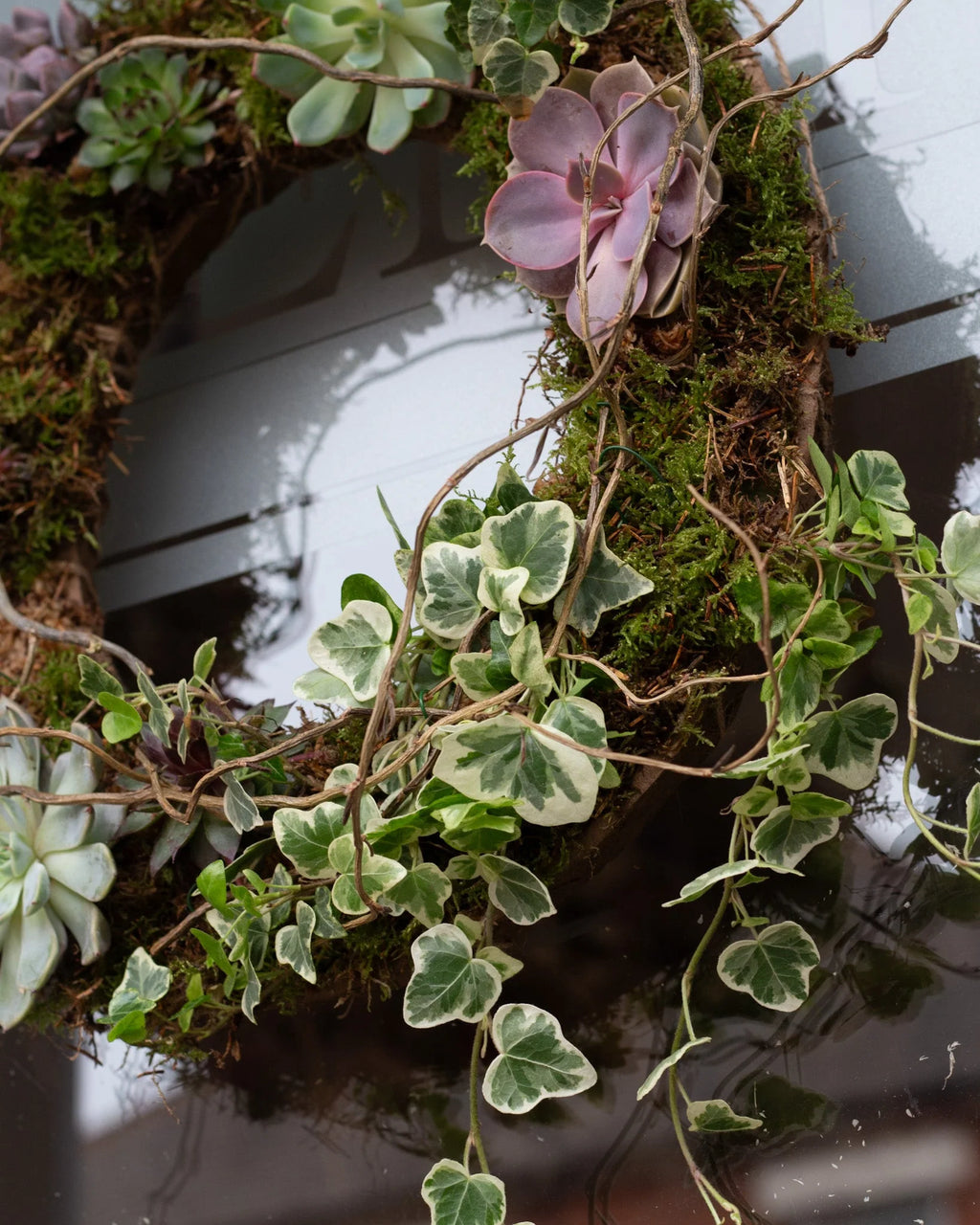 Spring Living Wreath Saturday 28th March 2026 10am - 12pm