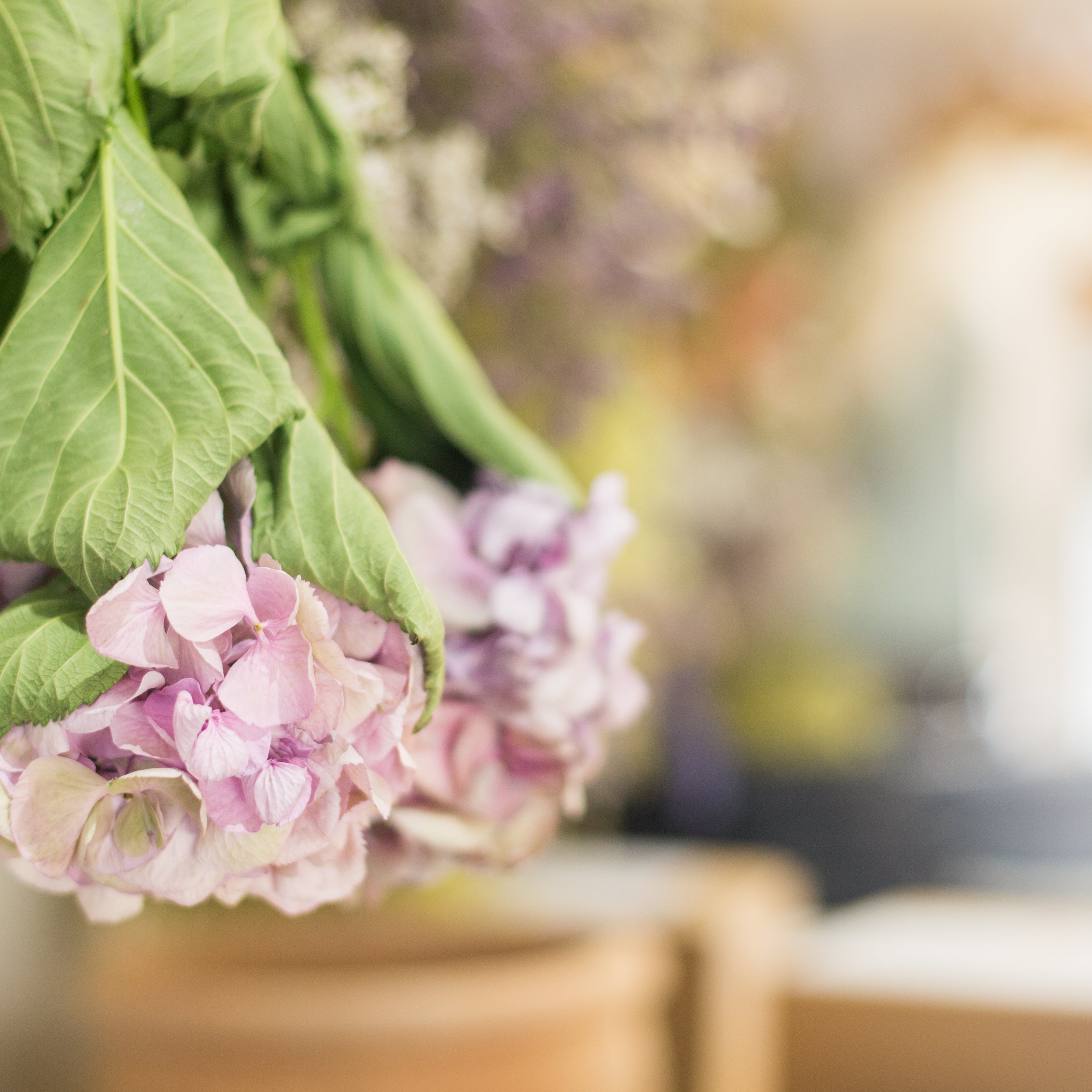 Monthly Flowers and Social Friday 27th February 10am