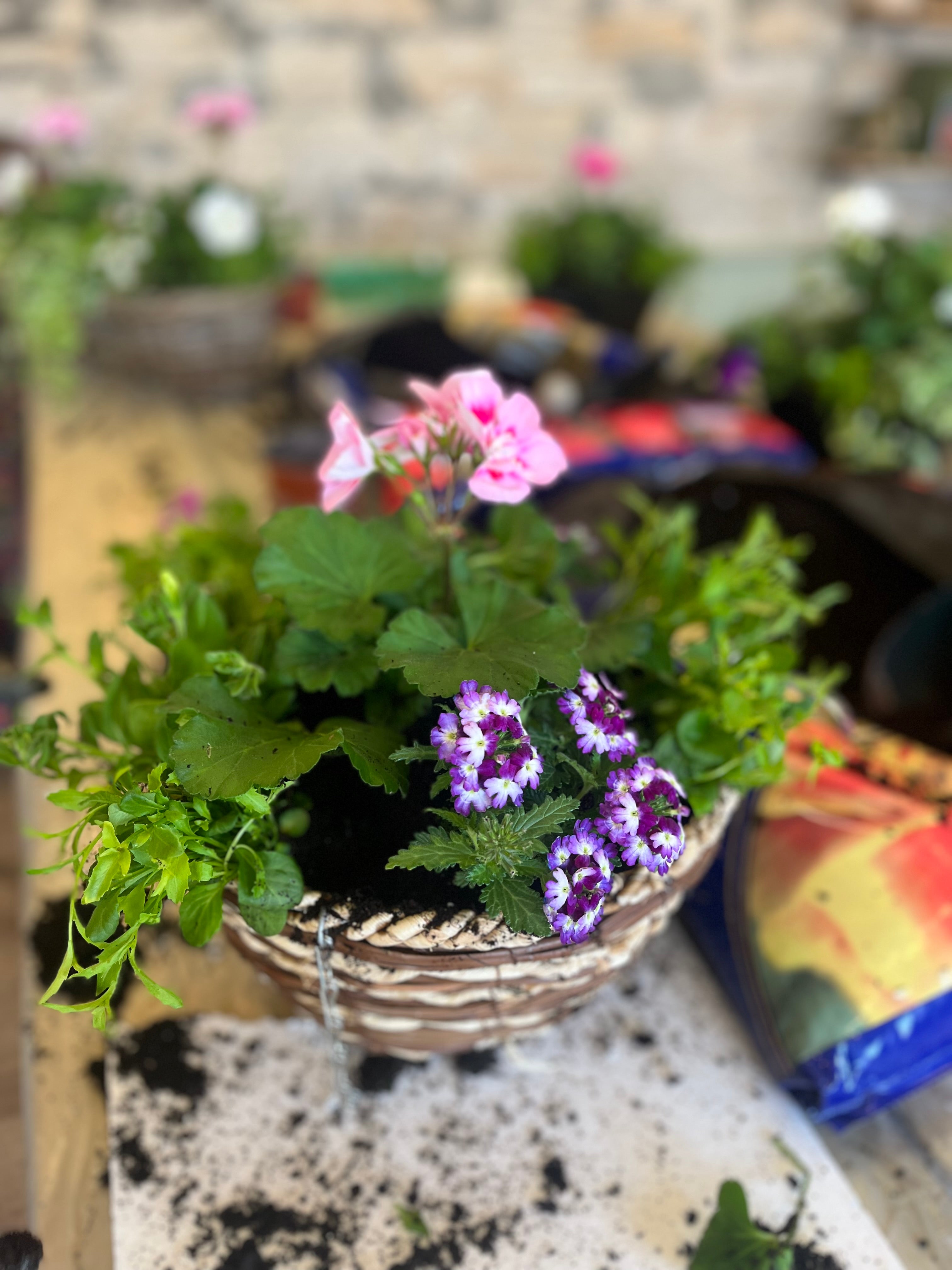 Hanging basket and planter drop in class. Sunday 17th May 2026 11am-1pm