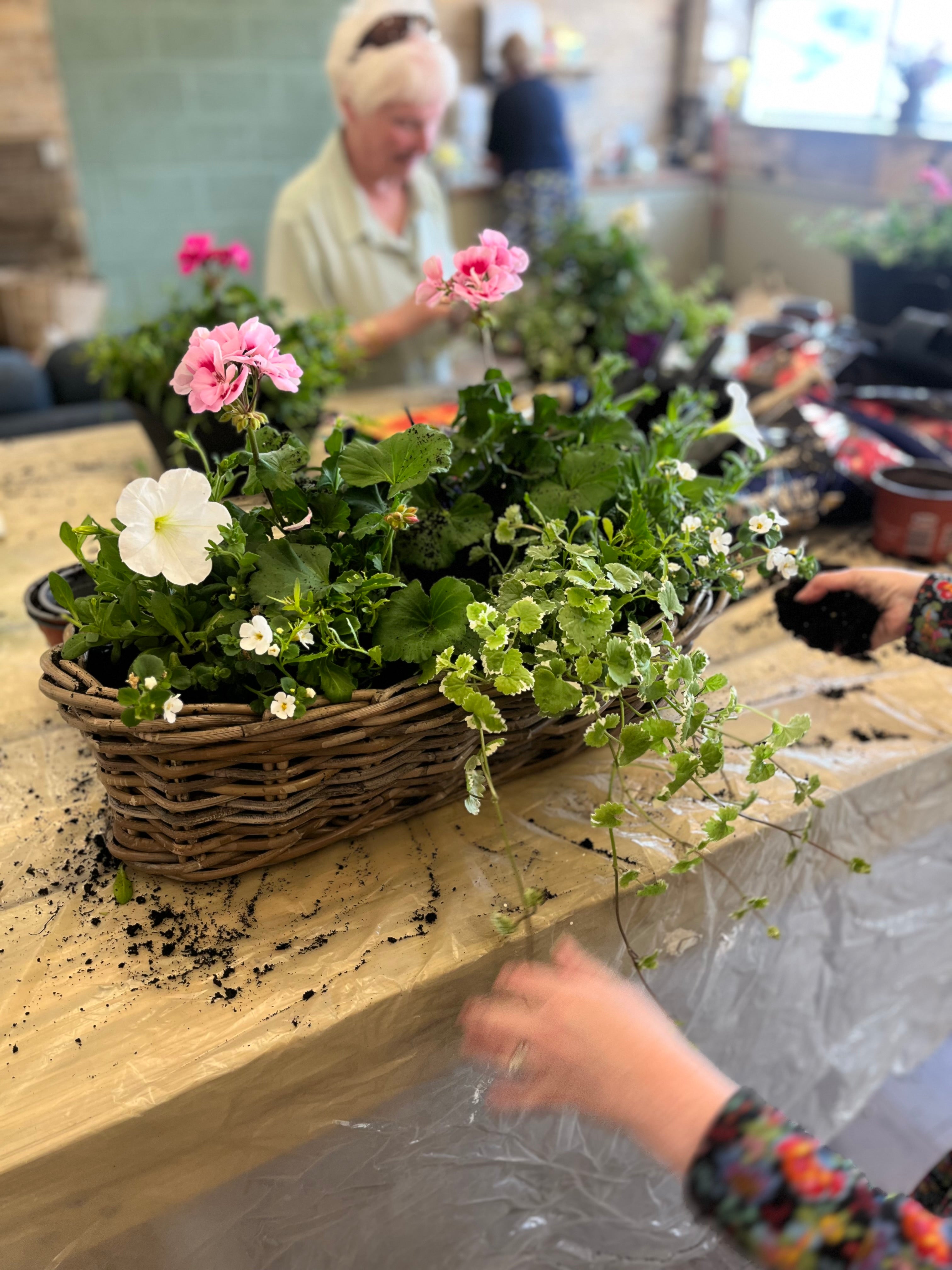 Hanging basket and planter drop in class. Sunday 17th May 2026 11am-1pm