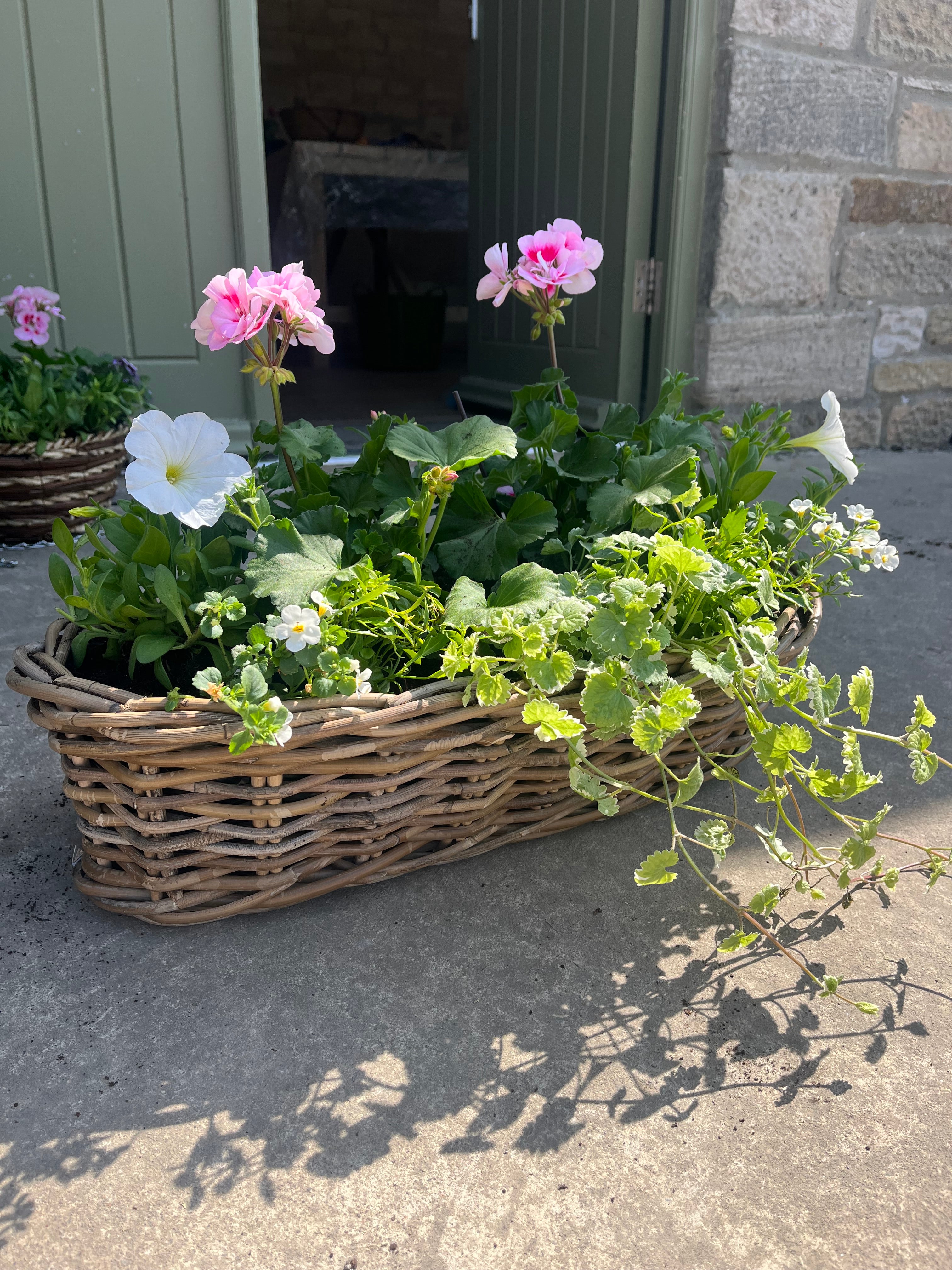 Hanging basket and planter drop in class. Sunday 17th May 2026 11am-1pm