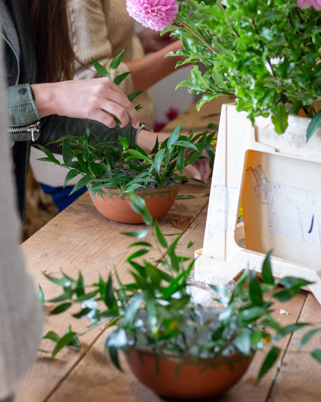 Autumn Table Arrangement Saturday 10th October  2026 10am -12pm